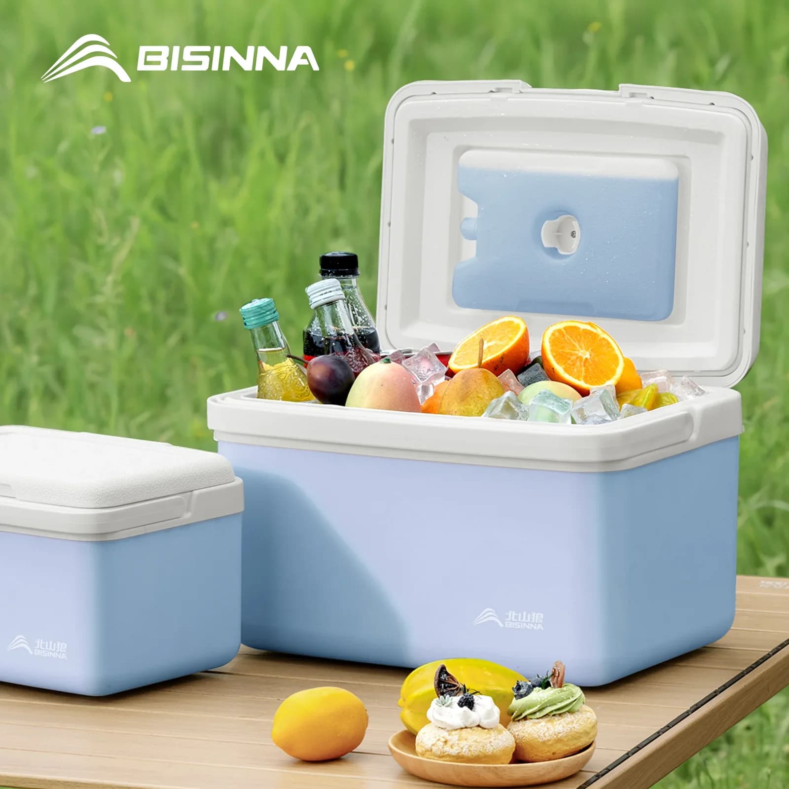 BISINNA přenosný chladicí box 6L/9L/15L pro kempování, auto chladnička do auta, venkovní pláž, rybaření, piknik, grilování, ledová nádoba